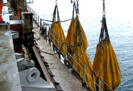 Load Testing of Lifeboat, Cranes, Gangway